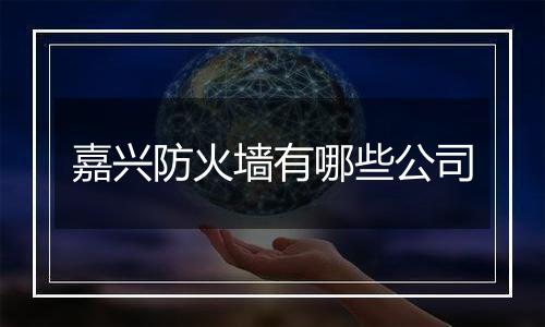 嘉兴防火墙有哪些公司
