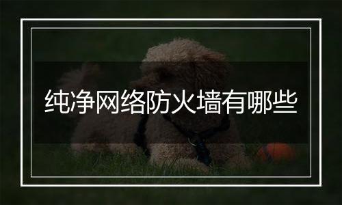 纯净网络防火墙有哪些
