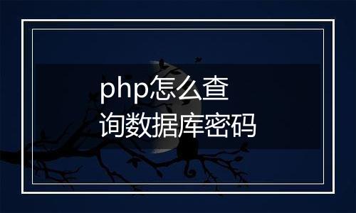 php怎么查询数据库密码