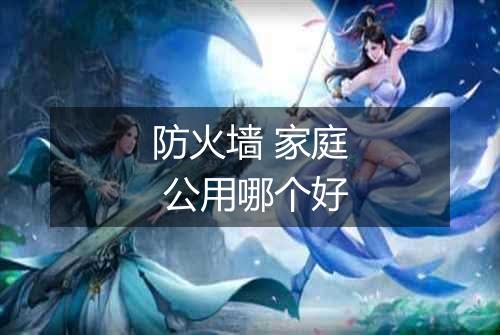 防火墙 家庭 公用哪个好