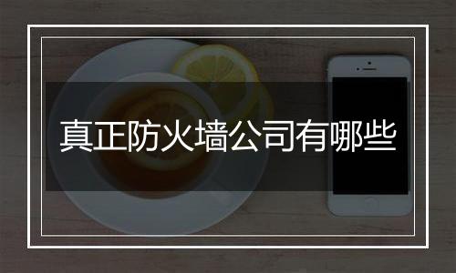 真正防火墙公司有哪些