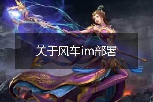 关于风车im部署