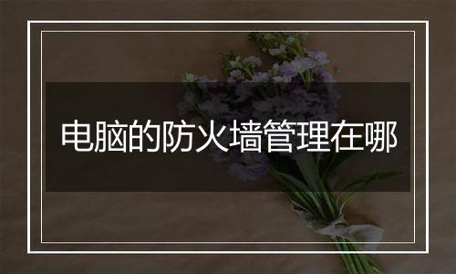 电脑的防火墙管理在哪