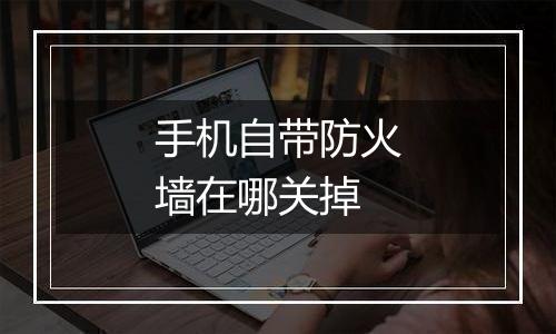 手机自带防火墙在哪关掉