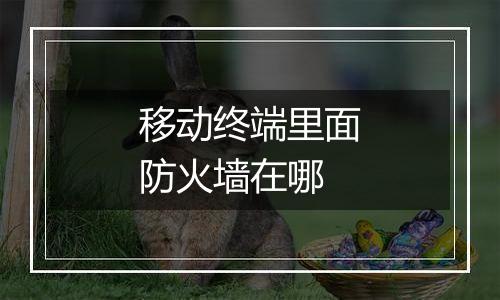 移动终端里面防火墙在哪