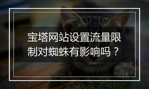 宝塔网站设置流量限制对蜘蛛有影响吗?