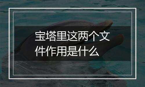 宝塔里这两个文件作用是什么