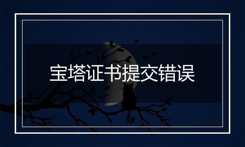 宝塔证书提交错误