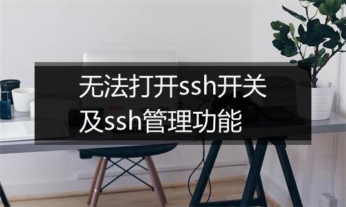 无法打开ssh开关及ssh管理功能