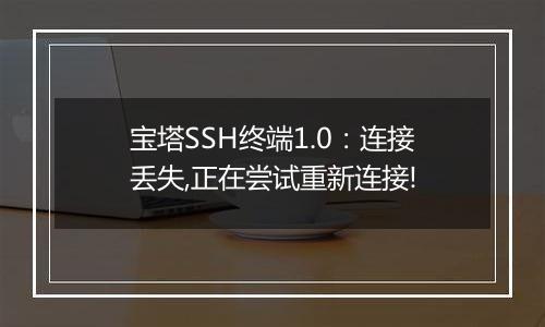 宝塔SSH终端1.0:连接丢失,正在尝试重新连接!