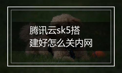 腾讯云sk5搭建好怎么关内网