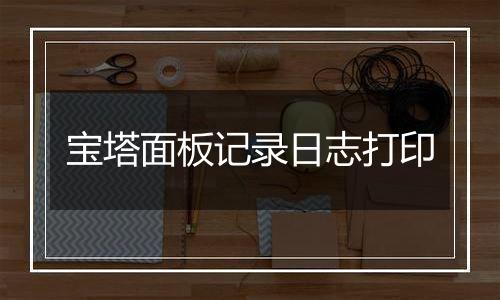 宝塔面板记录日志打印
