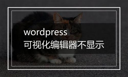 wordpress可视化编辑器不显示