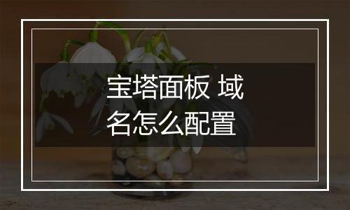 宝塔面板 域名怎么配置