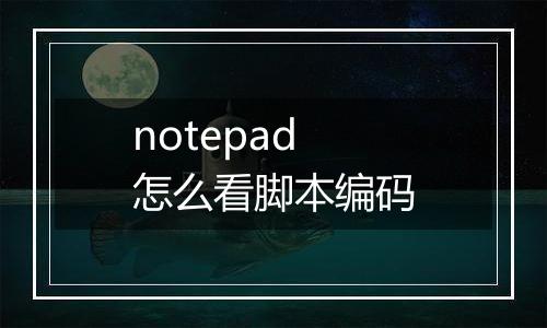 notepad怎么看脚本编码