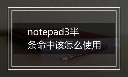 notepad3半条命中该怎么使用