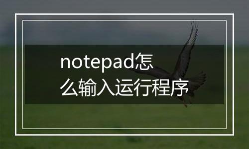 notepad怎么输入运行程序