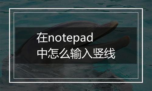 在notepad中怎么输入竖线