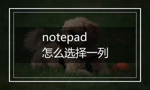 notepad怎么选择一列