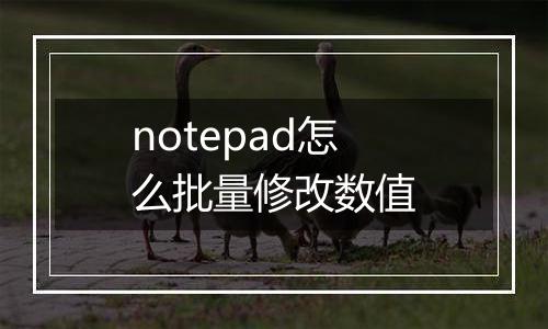 notepad怎么批量修改数值