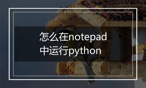 怎么在notepad中运行python