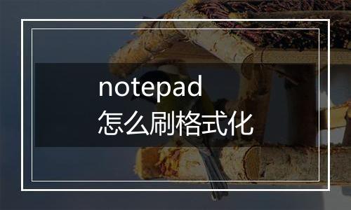 notepad怎么刷格式化