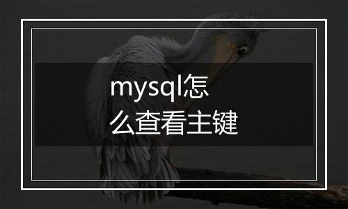 mysql怎么查看主键