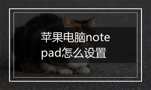 苹果电脑notepad怎么设置