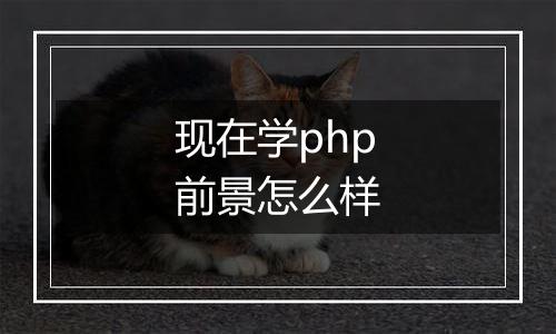 现在学php前景怎么样