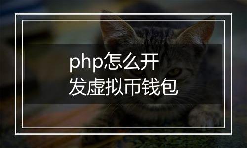 php怎么开发虚拟币钱包