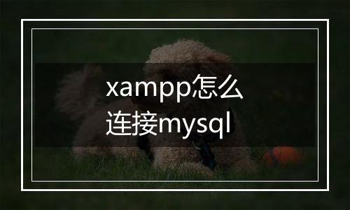 xampp怎么连接mysql