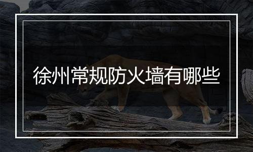 徐州常规防火墙有哪些