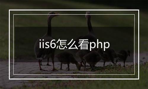 iis6怎么看php
