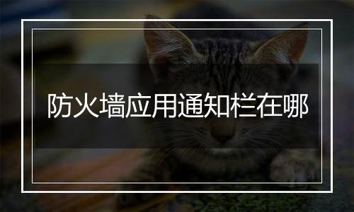 防火墙应用通知栏在哪