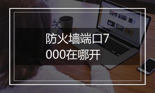 防火墙端口7000在哪开
