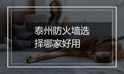 泰州防火墙选择哪家好用