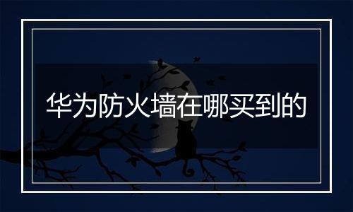 华为防火墙在哪买到的