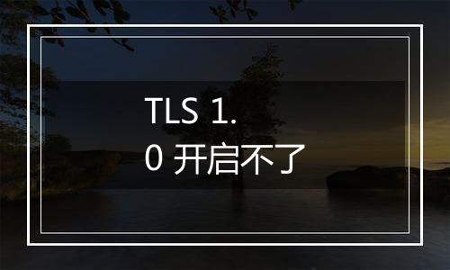 TLS 1.0 开启不了