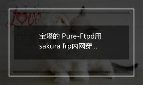 宝塔的 Pure-Ftpd用 sakura frp内网穿透不能用
