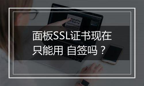 面板SSL证书现在只能用 自签吗?