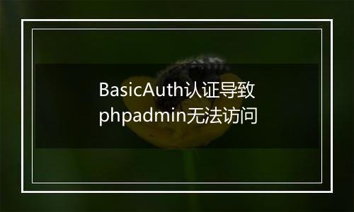 BasicAuth认证导致phpadmin无法访问