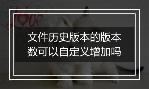 文件历史版本的版本数可以自定义增加吗