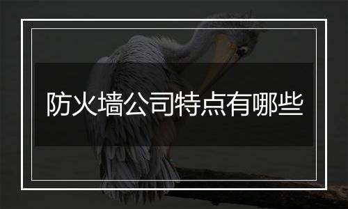 防火墙公司特点有哪些