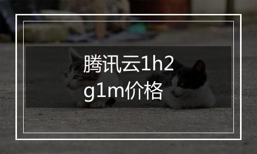腾讯云1h2g1m价格