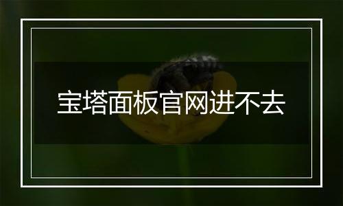 宝塔面板官网进不去