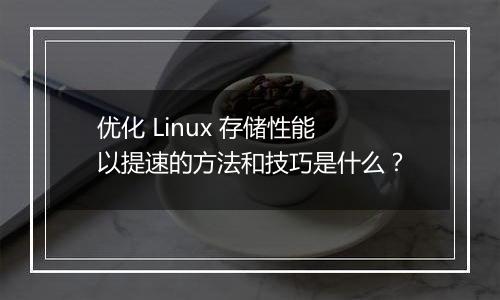 优化 Linux 存储性能以提速的方法和技巧是什么？