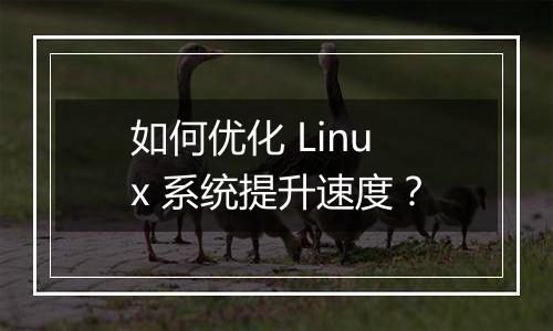 如何优化 Linux 系统提升速度?