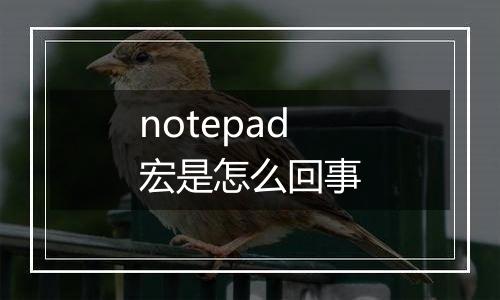 notepad宏是怎么回事