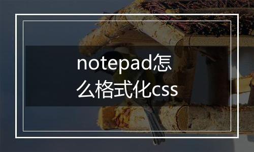 notepad怎么格式化css