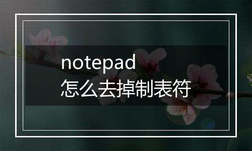 notepad怎么去掉制表符